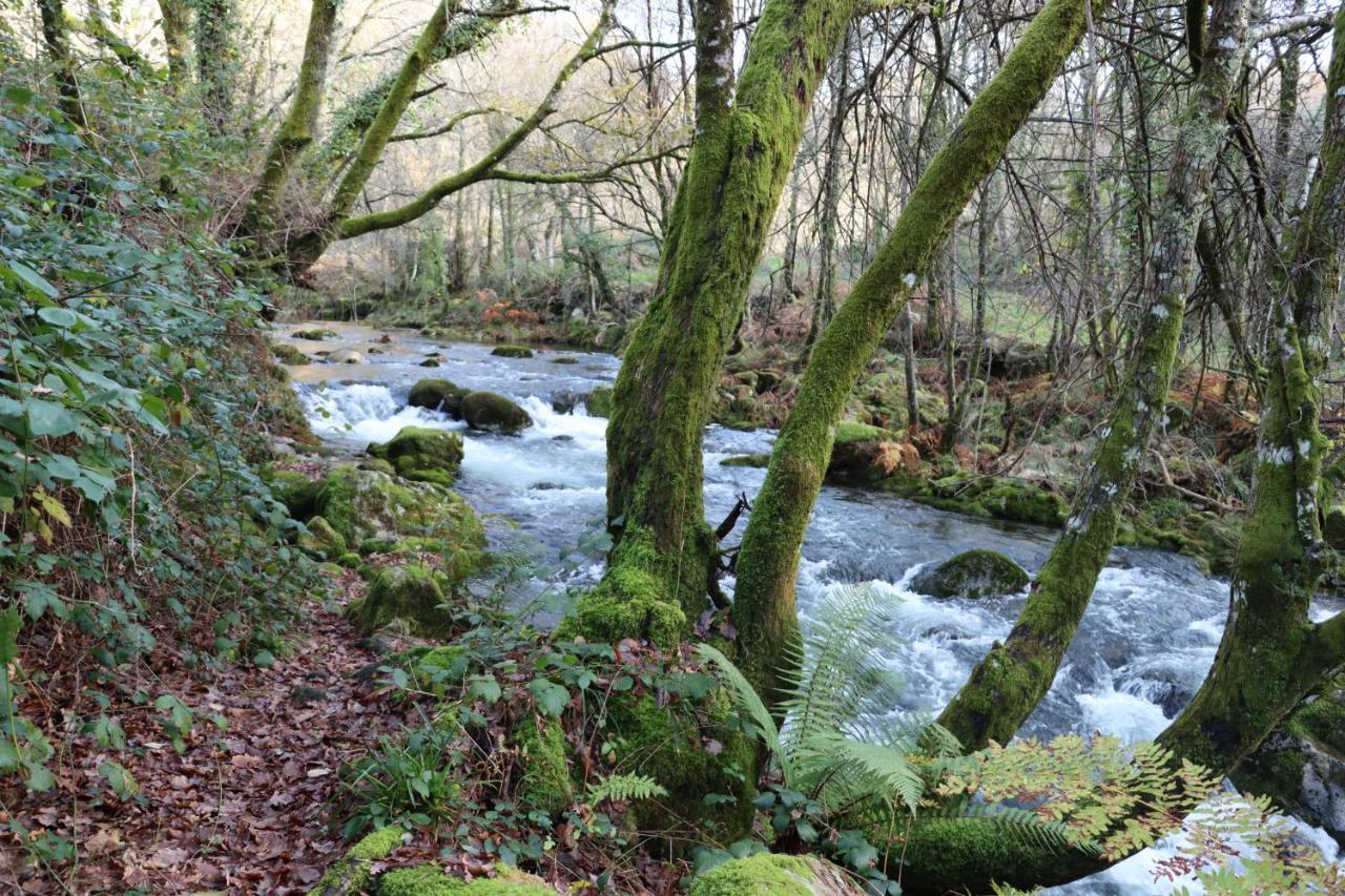 Santa Leocadia Quinta Da Riba Ma旅馆 外观 照片