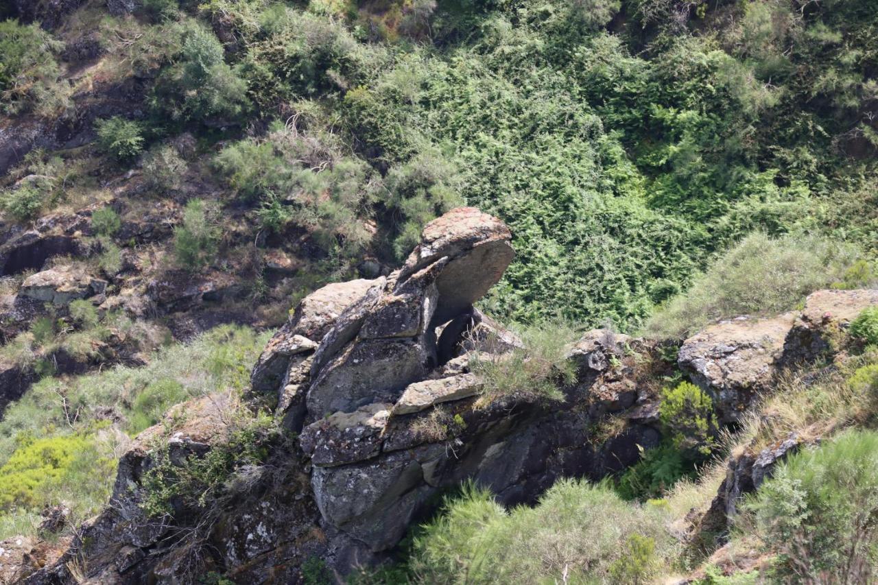 Santa Leocadia Quinta Da Riba Ma旅馆 外观 照片